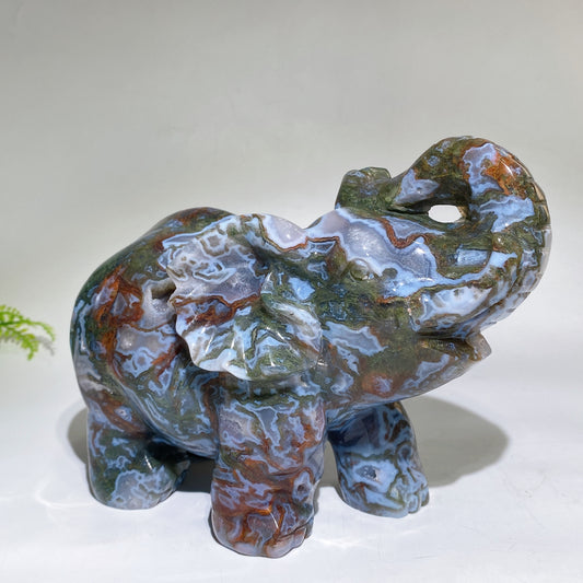 Large Unique Hand Carved Druzy Moss Agate Eelephant Crystal Healing Bulk Wholesale