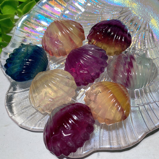 1.4" Mixed Fluorite Shell Carvings Crystal Healing Bulk Wholesale