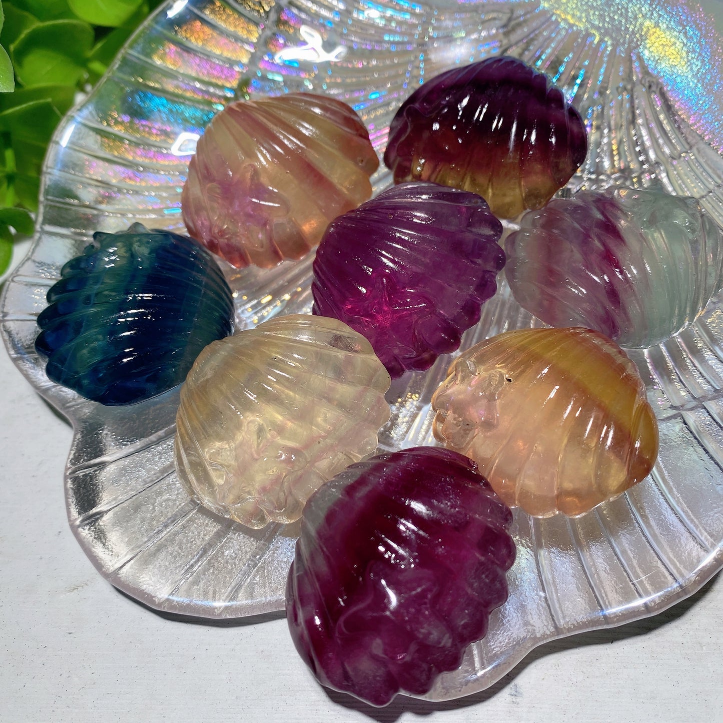 1.4" Mixed Fluorite Shell Carvings Crystal Healing Bulk Wholesale