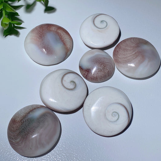 1.1"-1.5" Shiva's Eye Round Carvings Crystal Healing Bulk Wholesale
