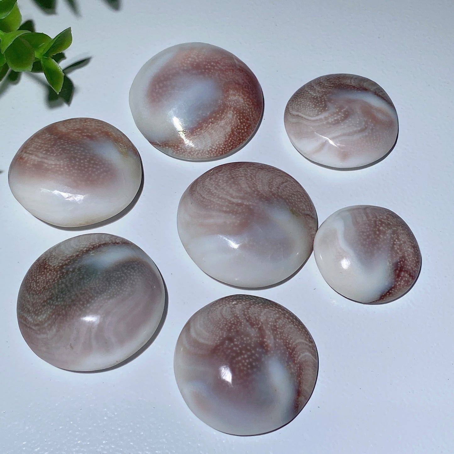 1.1"-1.5" Shiva's Eye Round Carvings Crystal Healing Bulk Wholesale