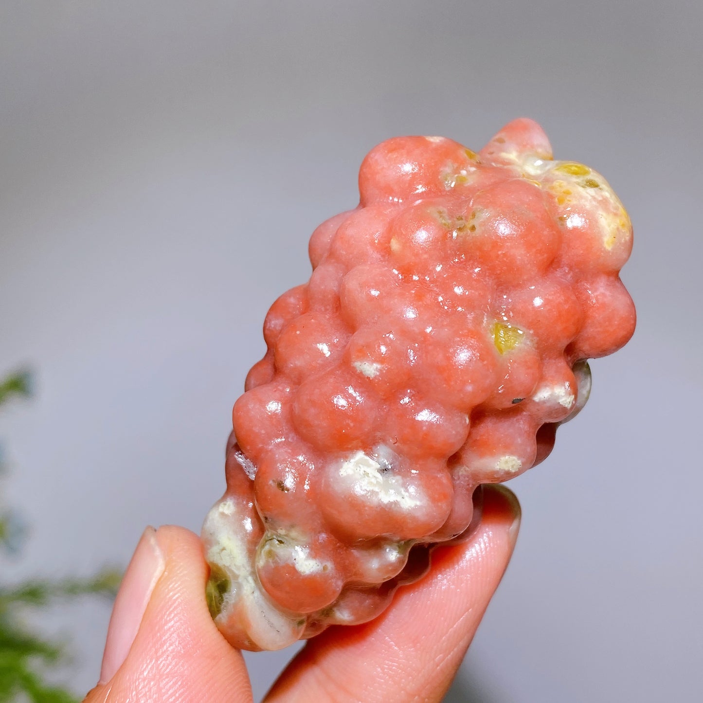 2.4’ Natural Crystal Grapes Carving Crystal Healing Bulk Wholesale