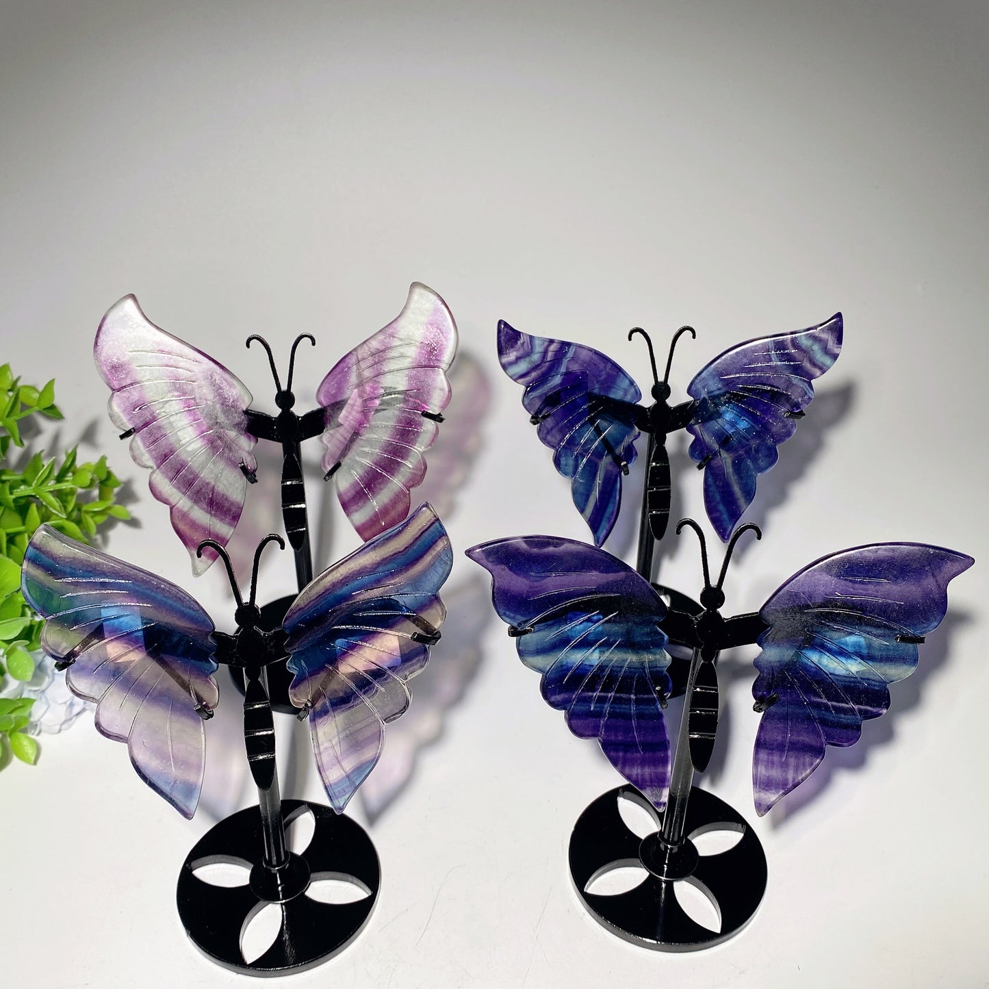 4.0" Fluorite Butterfly Wings with Stand Crystal Healing Bulk Wholesale