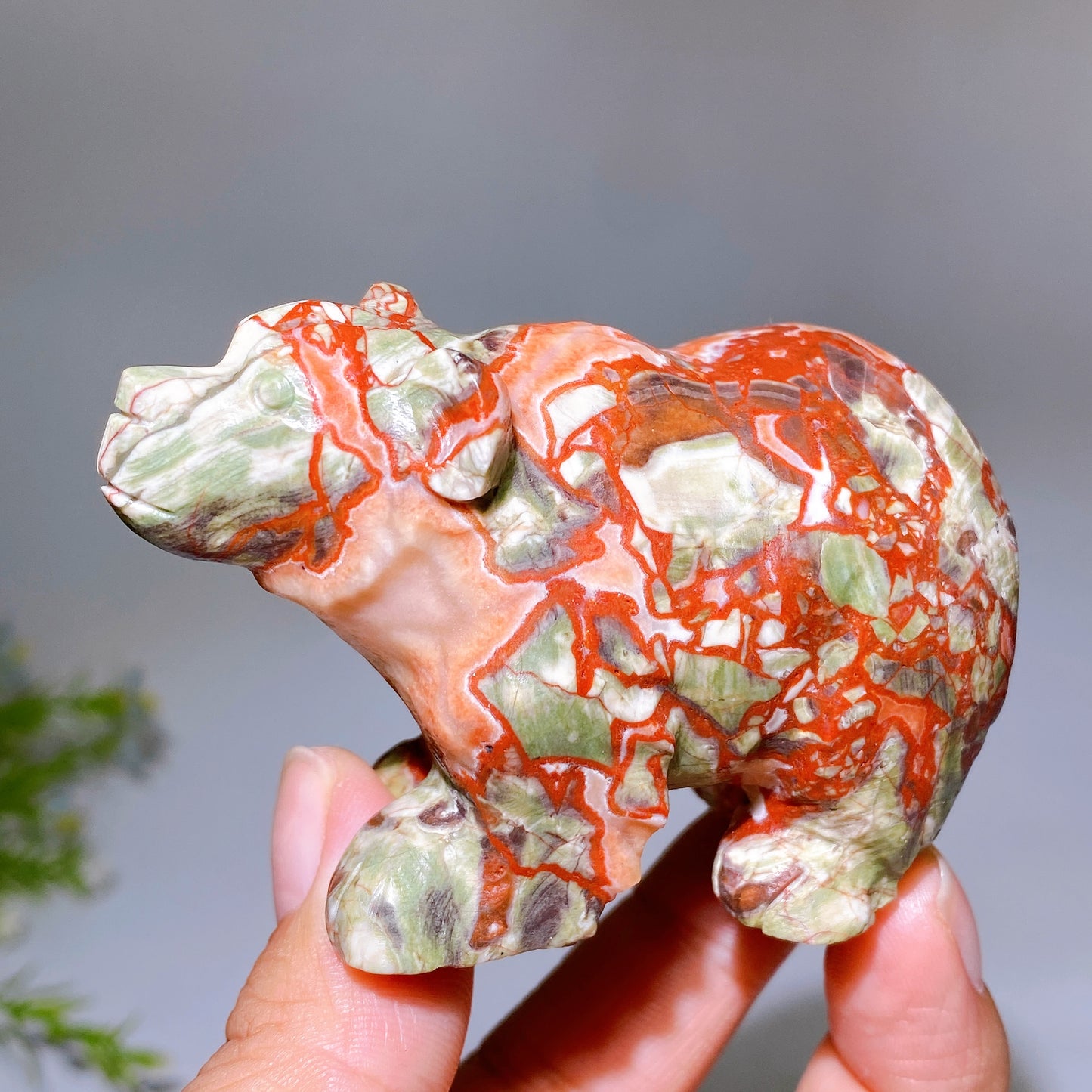 3.1" Natural Money Agate Bear Carvring Crystal Healing Bulk Wholesale