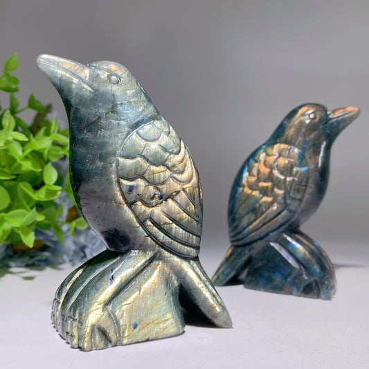 3.7" Labradorite Raven Bird Carvings Crystal Healing Bulk Wholesale