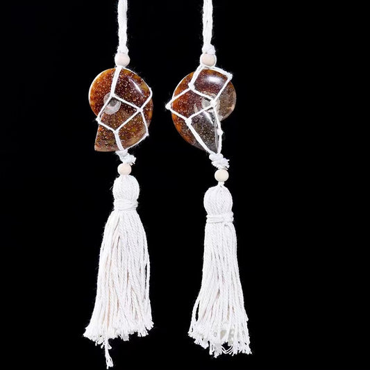 Ammonite Hanging