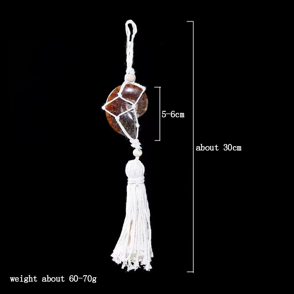 Ammonite Hanging