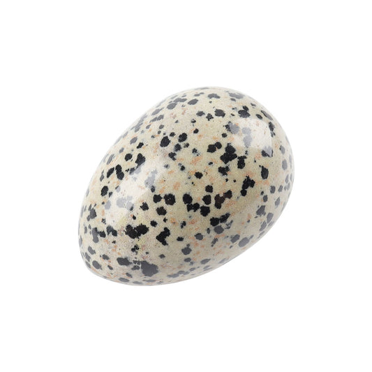 2" Dalmatian Egg Shape Crystal Palm Stone