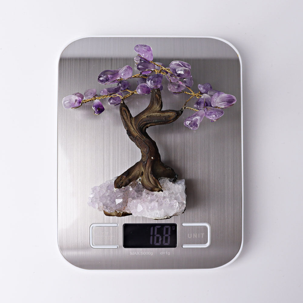 4" Amethyst Crystal Tree Free Form