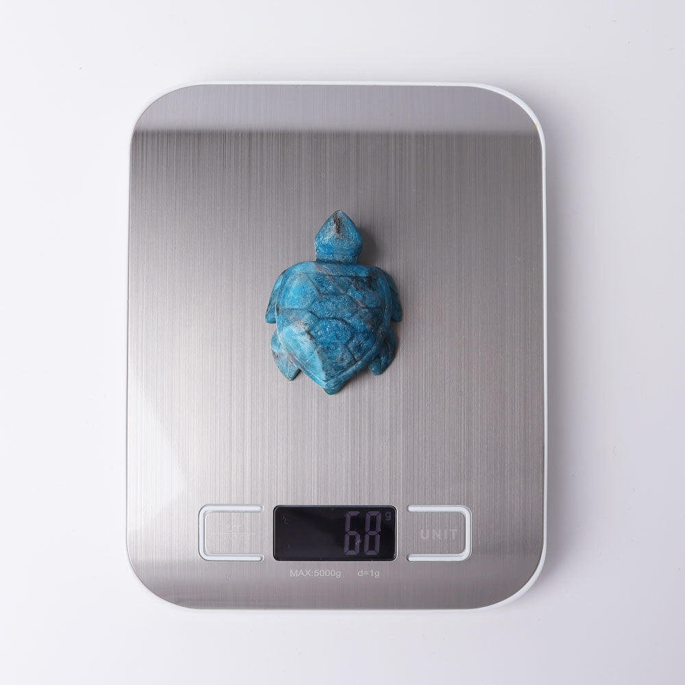 2.3" Blue Apatite Sea Turtle Crystal Carvings