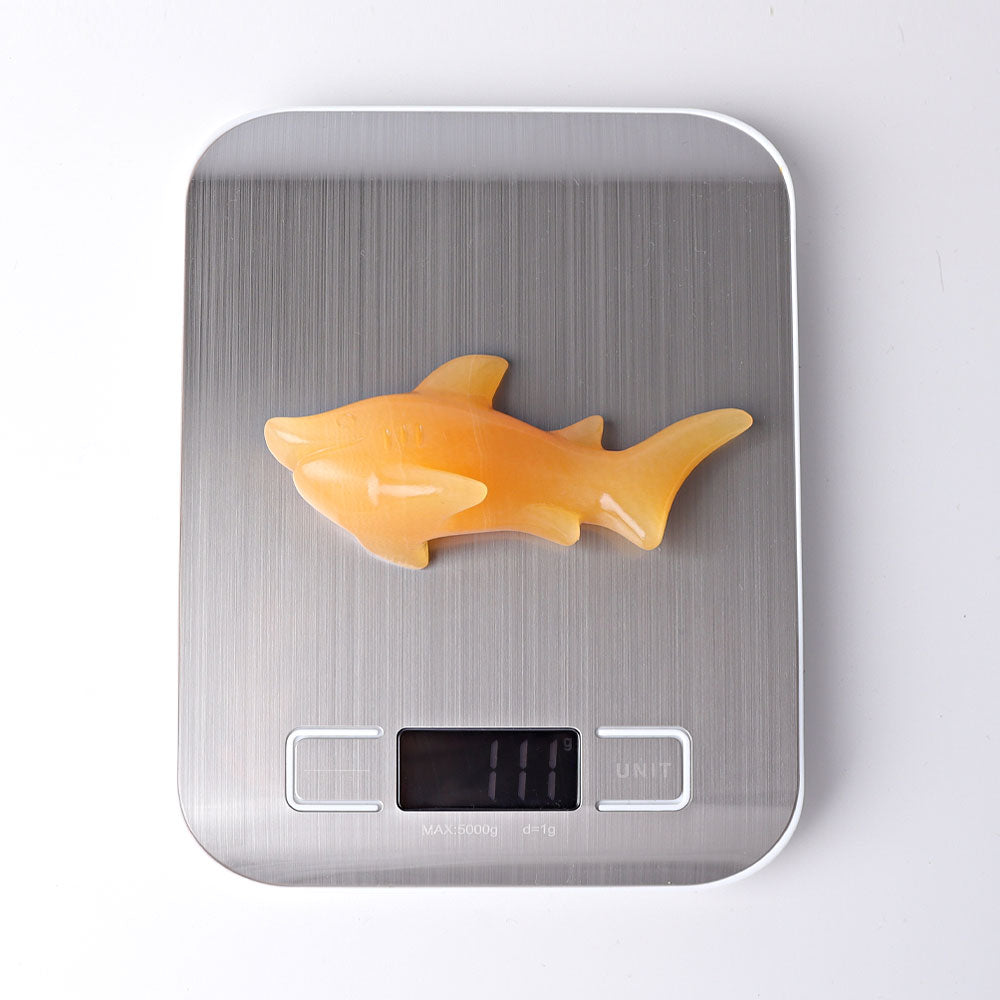 4" Honey Calcite Shark Crystal Carvings