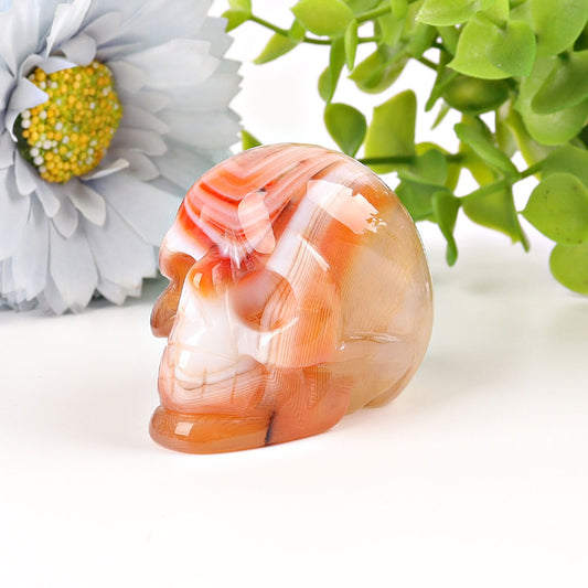 2" Sardonyx Skull Crystal Carvings