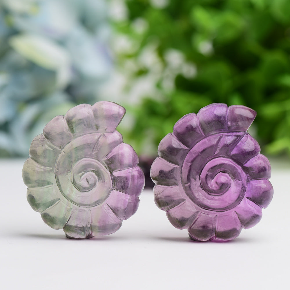 2.0" Fluorite Shell Crystal Carving