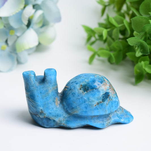 3.0" Bule Apatite Snail Crystal Carving Crystal Healing Bulk Wholesale