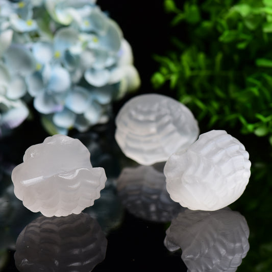 2.4" Selenite Shell Shape Carving Bulk Wholesale