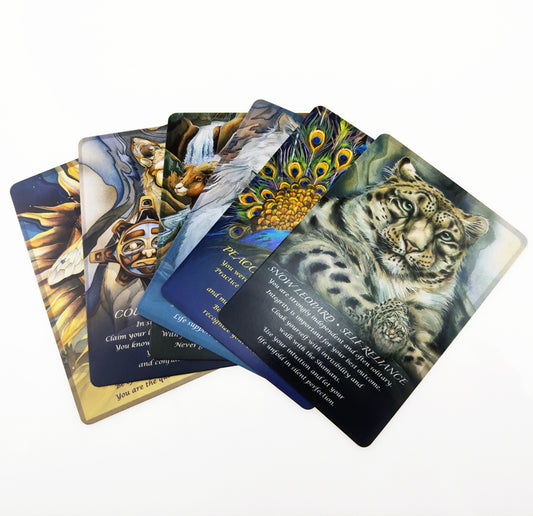 Spirit of Animal Oracle Cards Bulk Wholesale