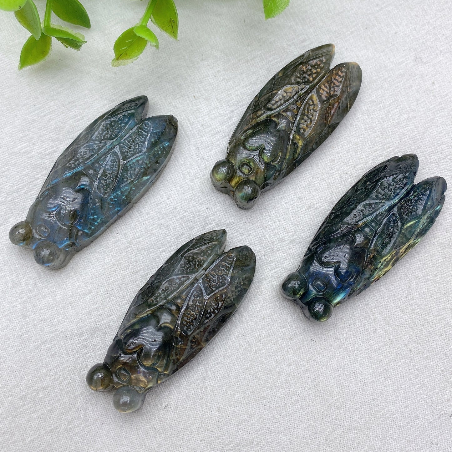 2.0" Blue Flash Red Flash Labradorite Cicada Carvings Crystal Healing Bulk Wholesale