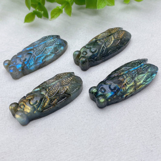 2.0" Blue Flash Red Flash Labradorite Cicada Carvings Crystal Healing Bulk Wholesale