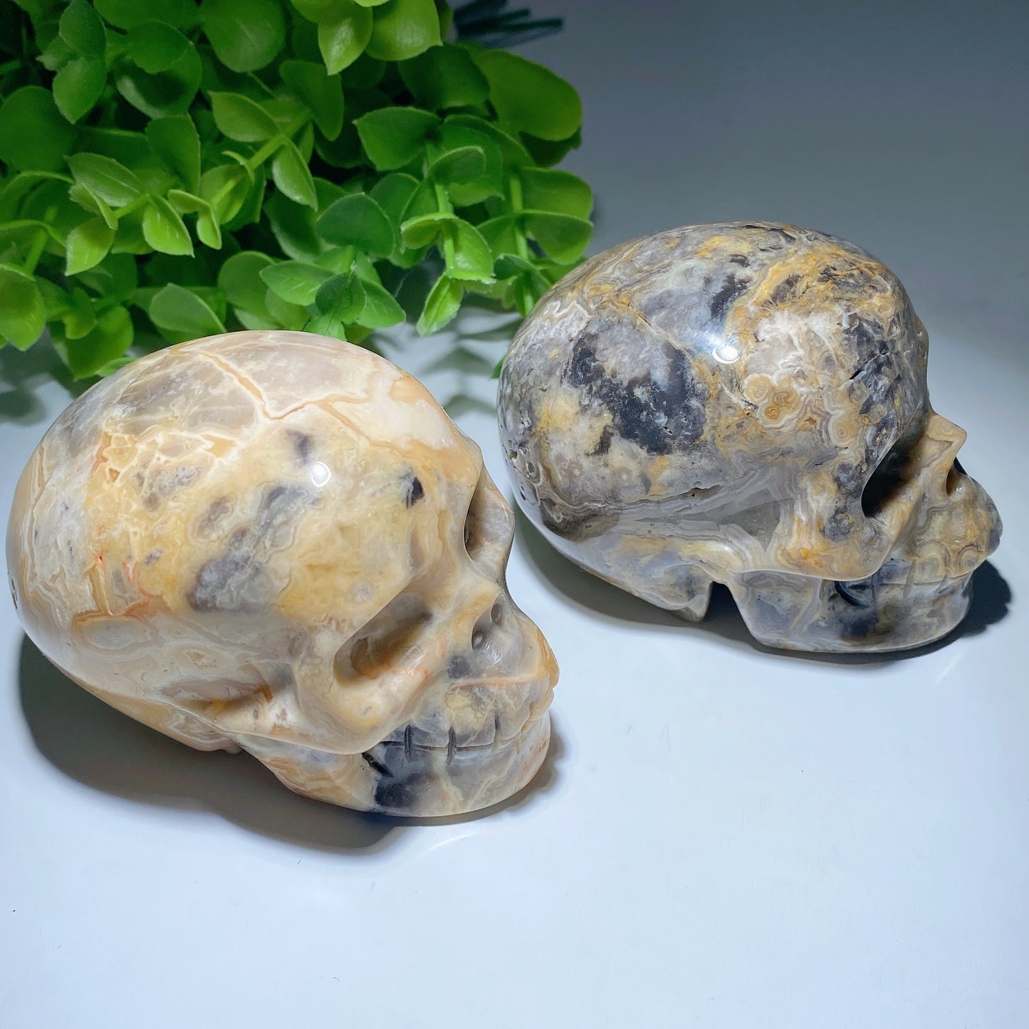 3.2" Crazy Agate Skull Crystal Healing Bulk Wholesale