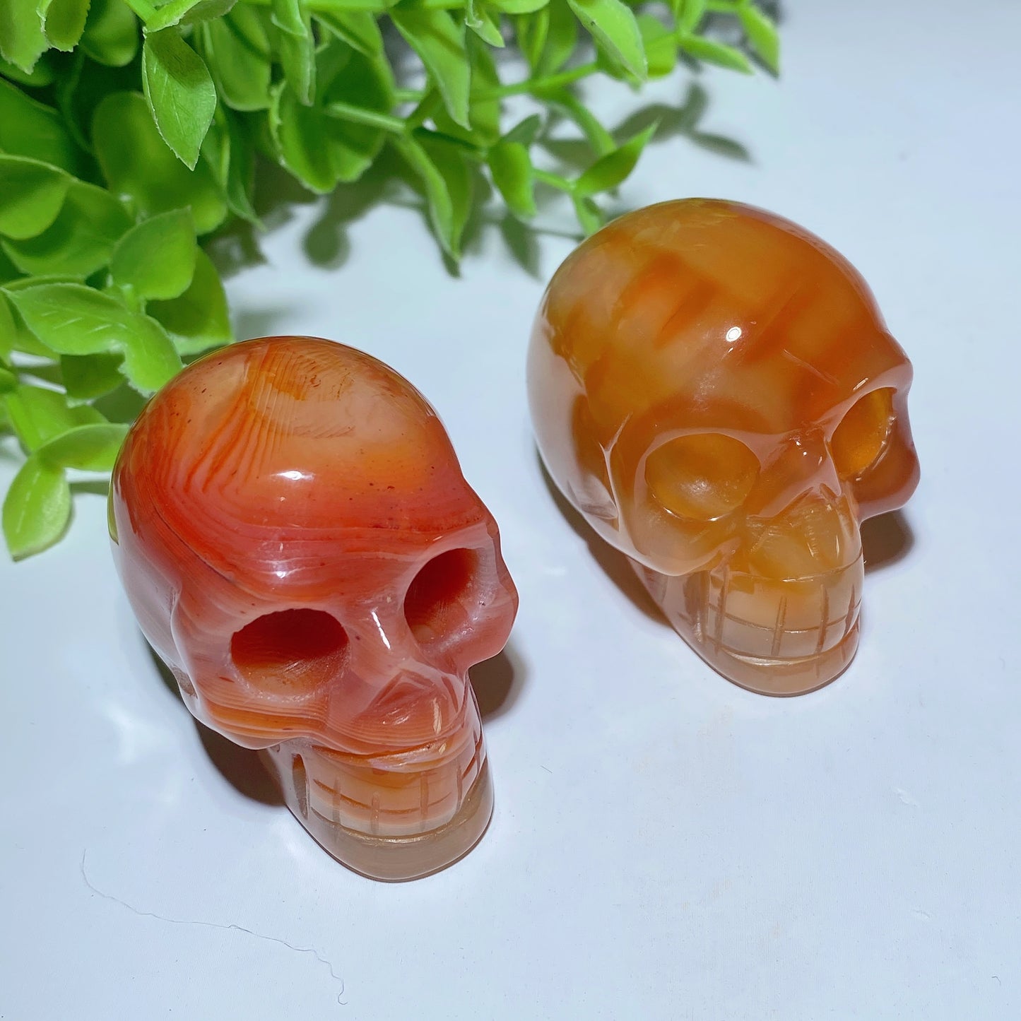 1.8"-2.0" Carnelian Skull Carvings Crystal Healing Bulk Wholesale