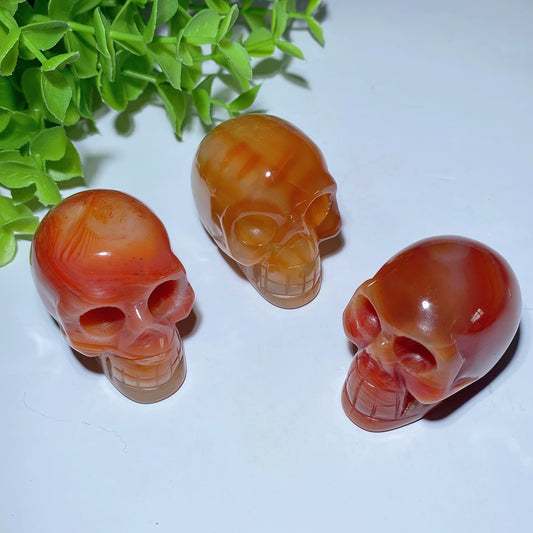 1.8"-2.0" Carnelian Skull Carvings Crystal Healing Bulk Wholesale