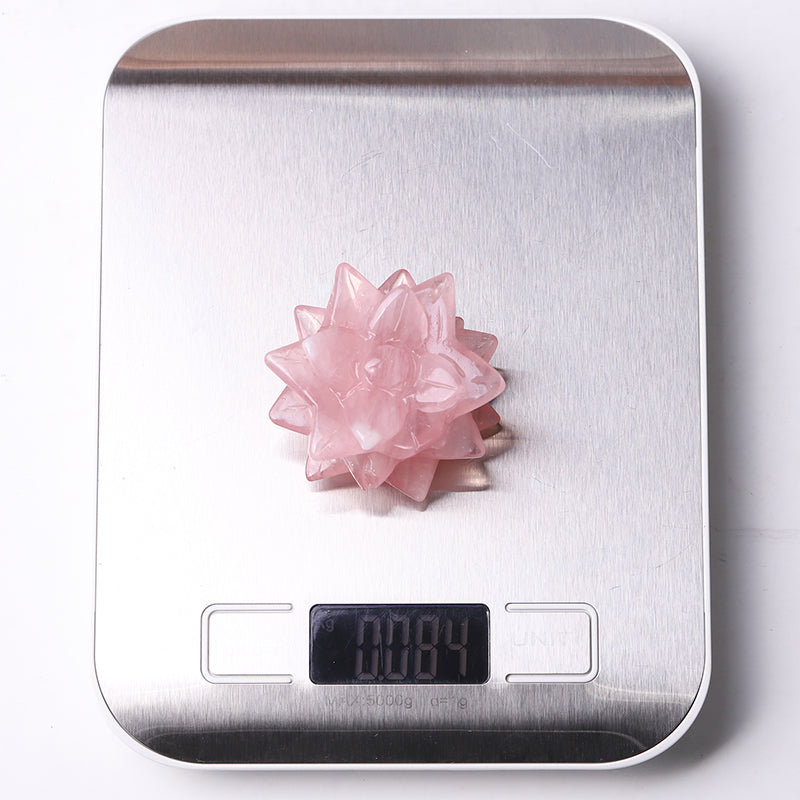 2" Rose Quartz Succulent Crystal Carvings