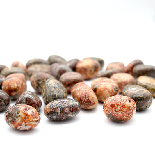 High Quality Leopard Skin Jasper Tumble Stone 0.5kg