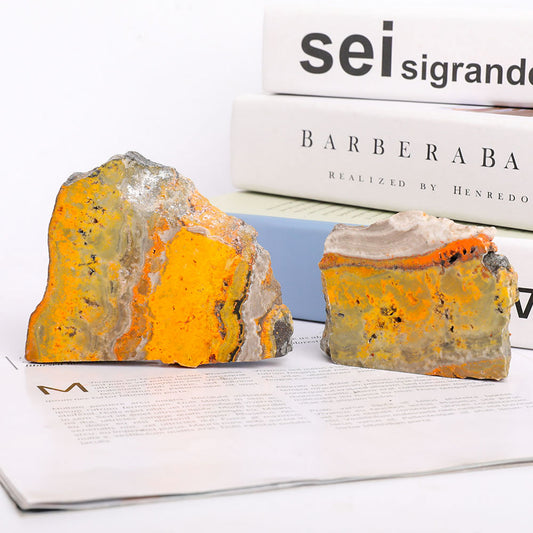 Set of 2 Bumble Bee Slices