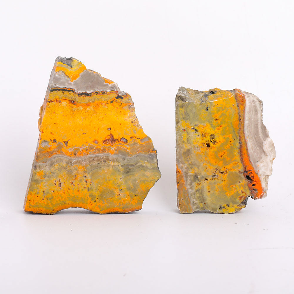 Set of 2 Bumble Bee Slices