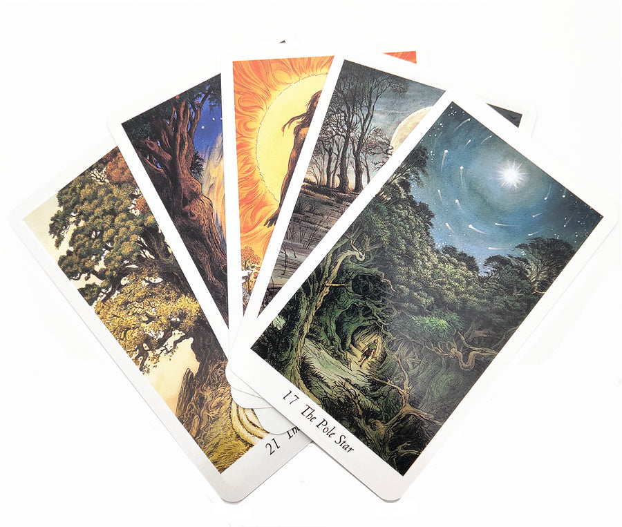 The Wild Wood Tarot Bulk Wholesale