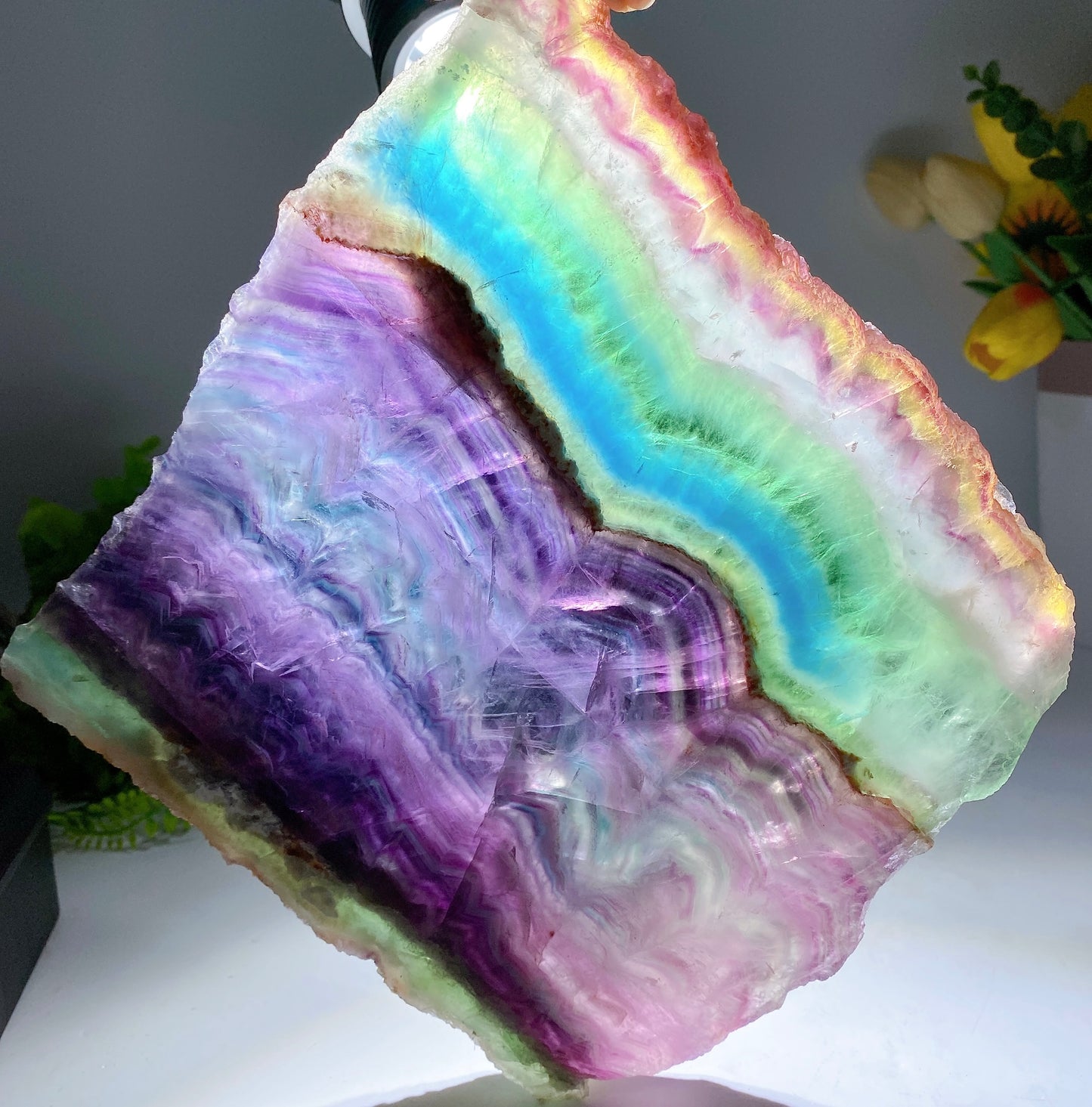 Unique Rainbow Flash Rainbow Fluorite Slab with Wooden Stand Free Form