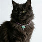 Cat's Eye Pet Collar with Magnet Buckle for Cat Crystal Healing Bulk Wholesale