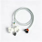 Natural Crystal Pet Memorial Necklace Crystal Healing Bulk Wholesale