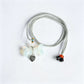 Natural Crystal Pet Memorial Necklace Crystal Healing Bulk Wholesale