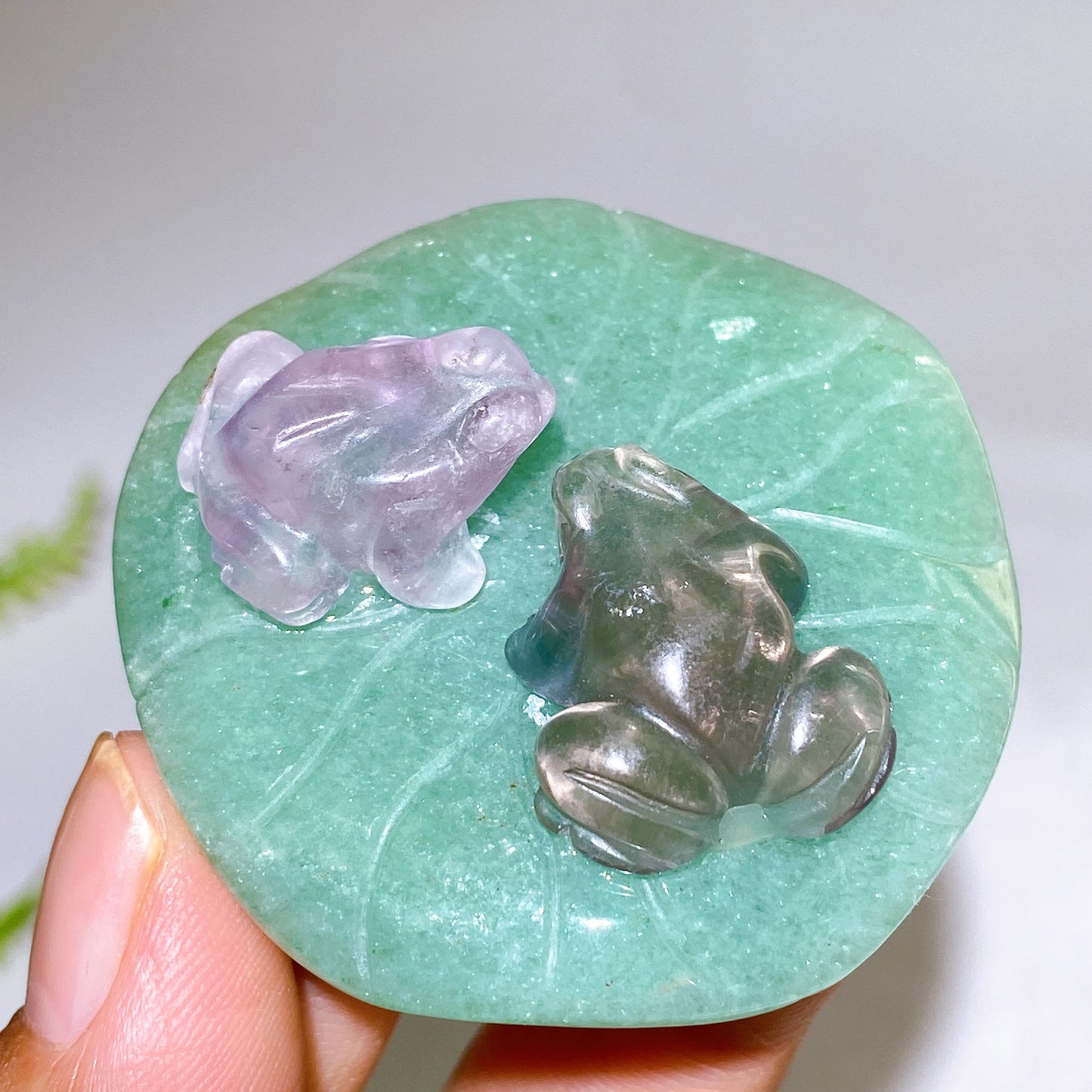 2.0" Fluorite Frogs on Aventurine Lotus Leaf Carving Crystal Healing Bulk Wholesale