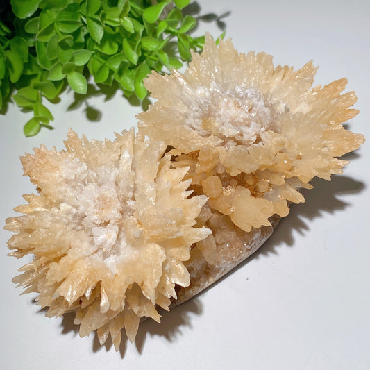 Unique Double Flower Calcite Specimen