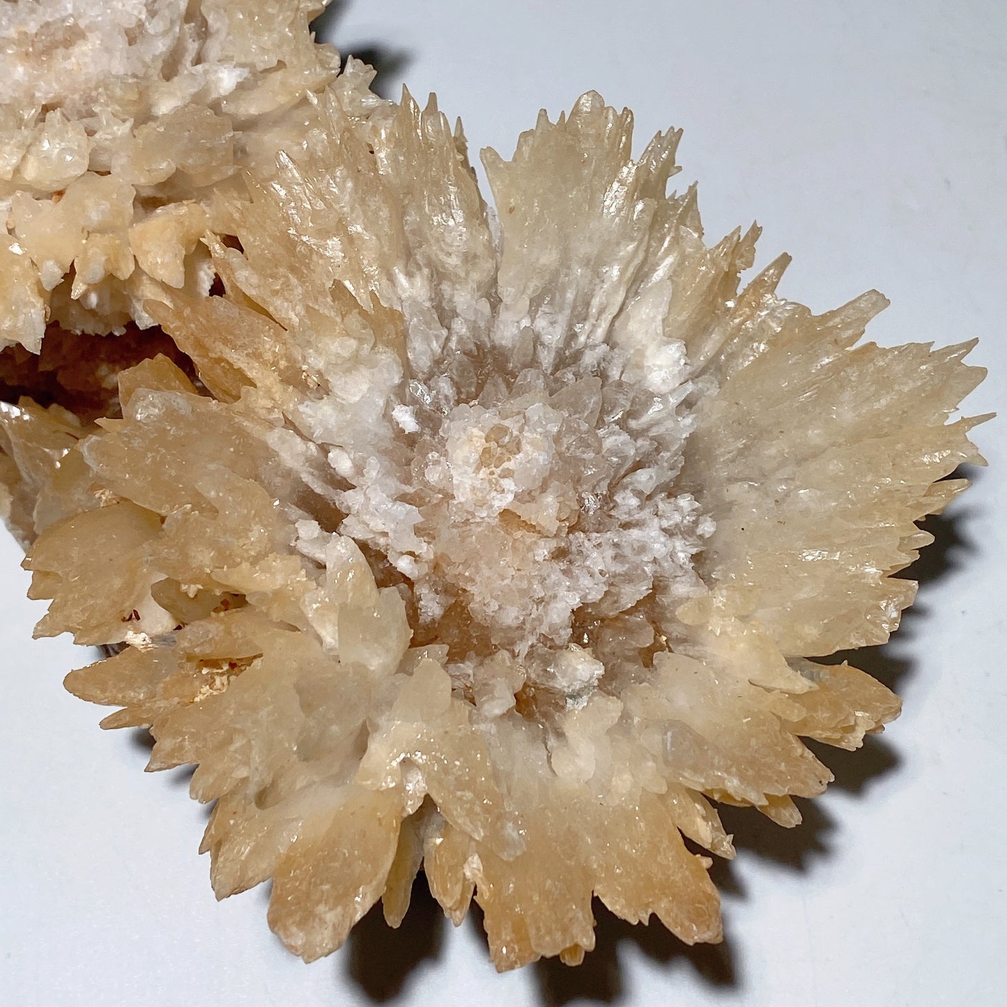 Unique Double Flower Calcite Specimen