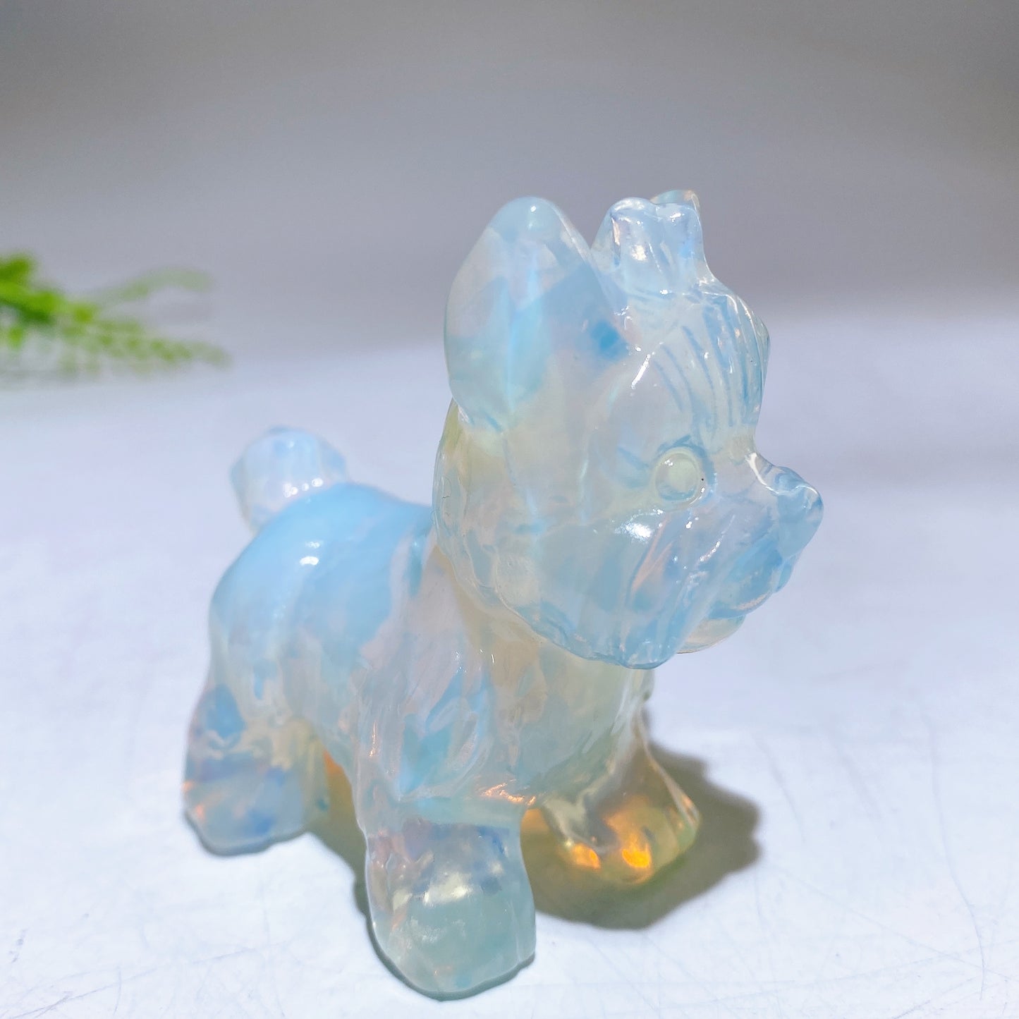 2.3" Natural Crystal Yorkshire Terrier Dog Carving Crystal Healing Bulk Wholesale