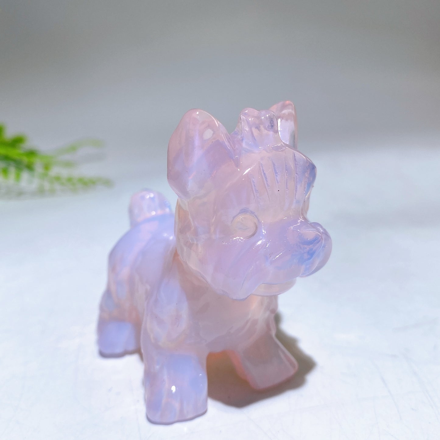 2.3" Natural Crystal Yorkshire Terrier Dog Carving Crystal Healing Bulk Wholesale