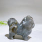 2.2" Naturla Crystal Pomeranian Dog Carving Crystal Healing Bulk Wholesale