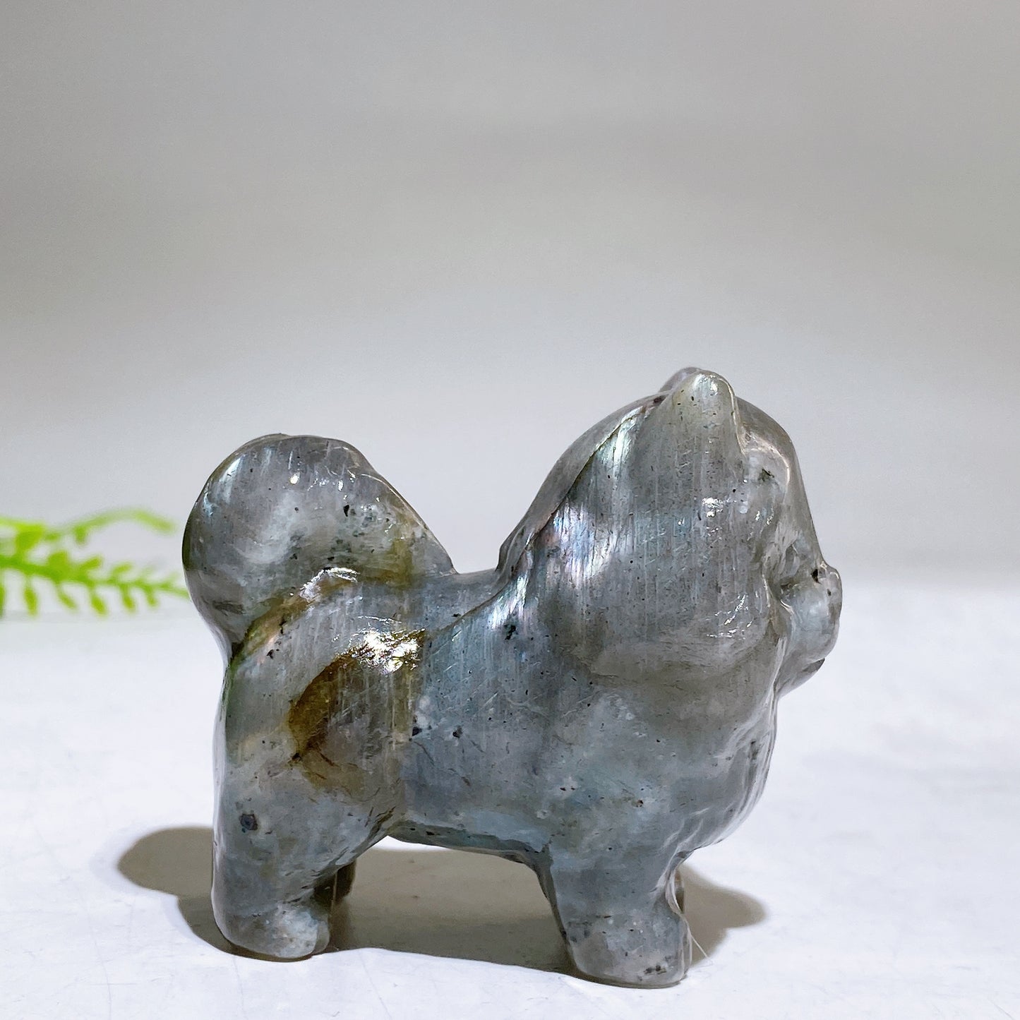 2.2" Naturla Crystal Pomeranian Dog Carving Crystal Healing Bulk Wholesale
