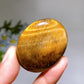1.9" Crystal Palm Crystal Healing Bulk Wholesale