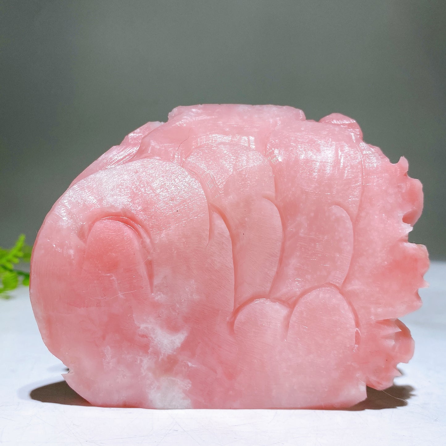 3.6" Unique Hand Carved Natural Pink Opal Bird Peony Free Form Crystal Healing Bulk Wholesale