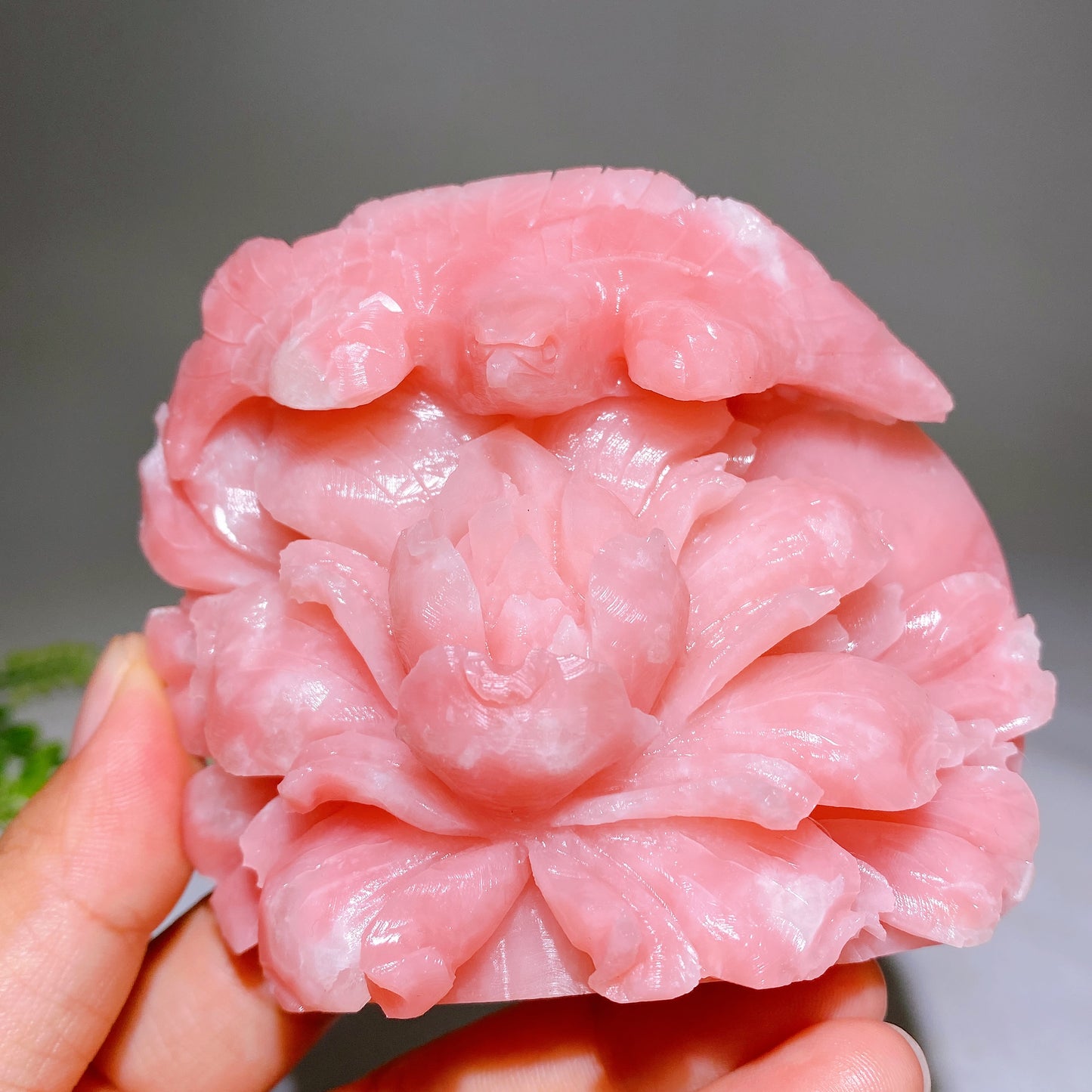 3.6" Unique Hand Carved Natural Pink Opal Bird Peony Free Form Crystal Healing Bulk Wholesale