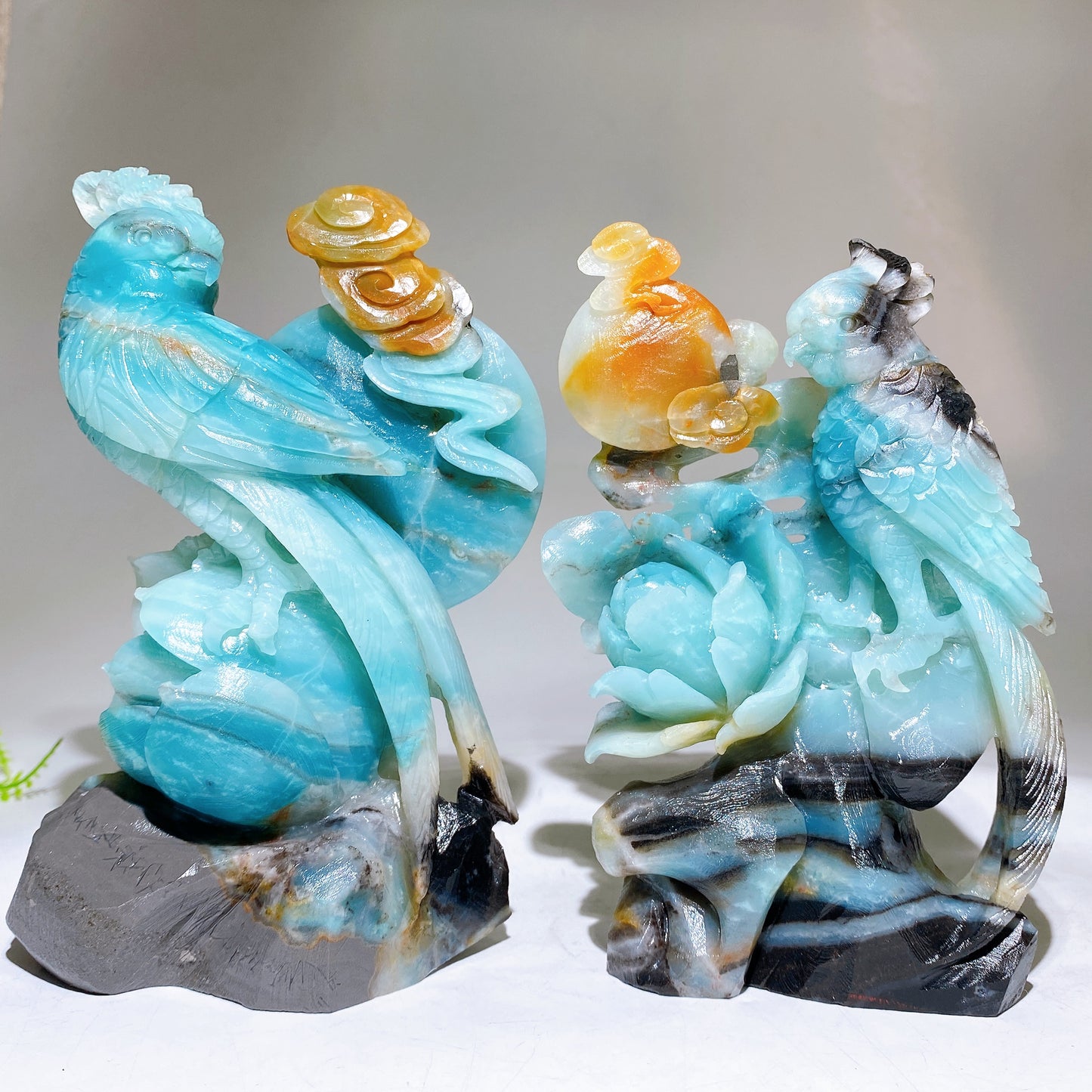 Hand Carved Unique Natural Caribbean Calcite Parrot Peony Cloud Free Form Crystal Healing Bulk Wholesale
