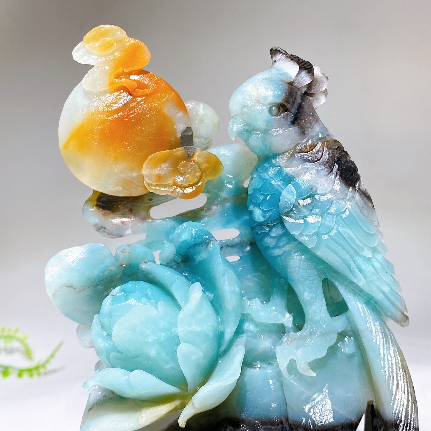 Hand Carved Unique Natural Caribbean Calcite Parrot Peony Cloud Free Form Crystal Healing Bulk Wholesale