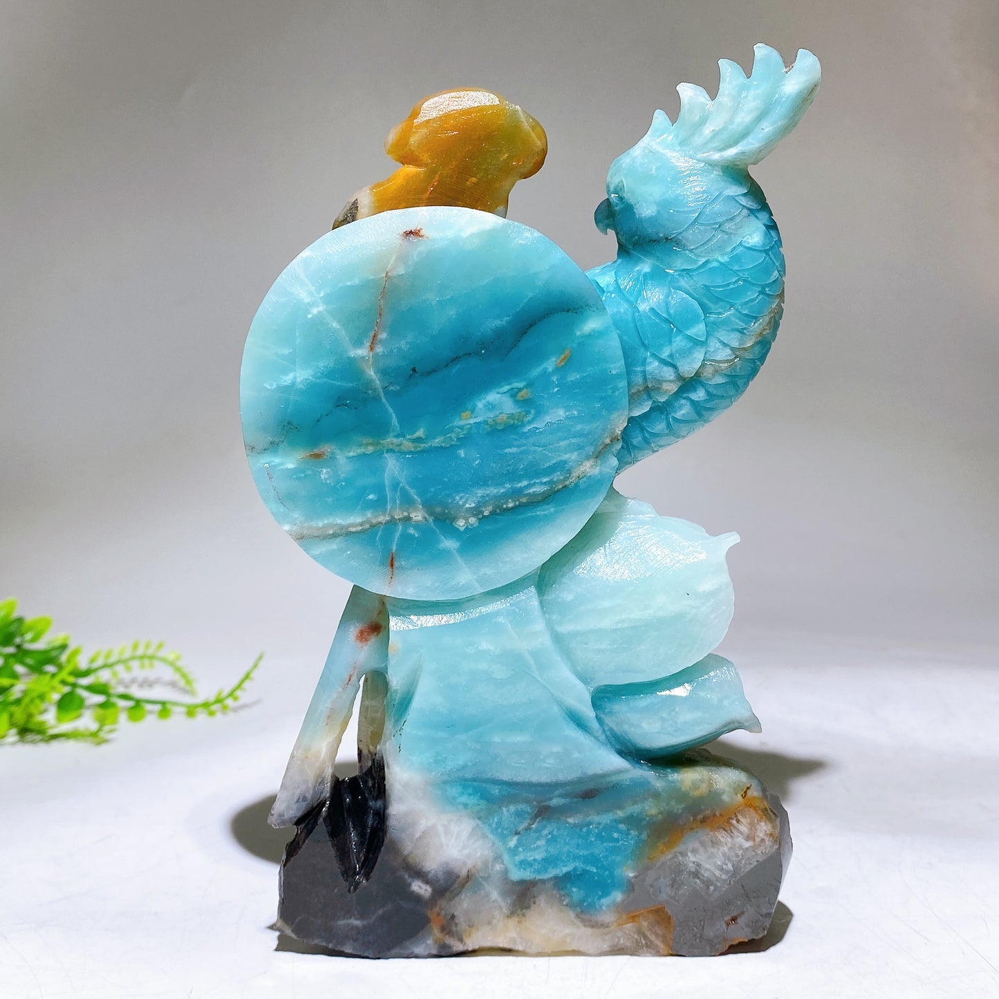 Hand Carved Unique Natural Caribbean Calcite Parrot Peony Cloud Free Form Crystal Healing Bulk Wholesale