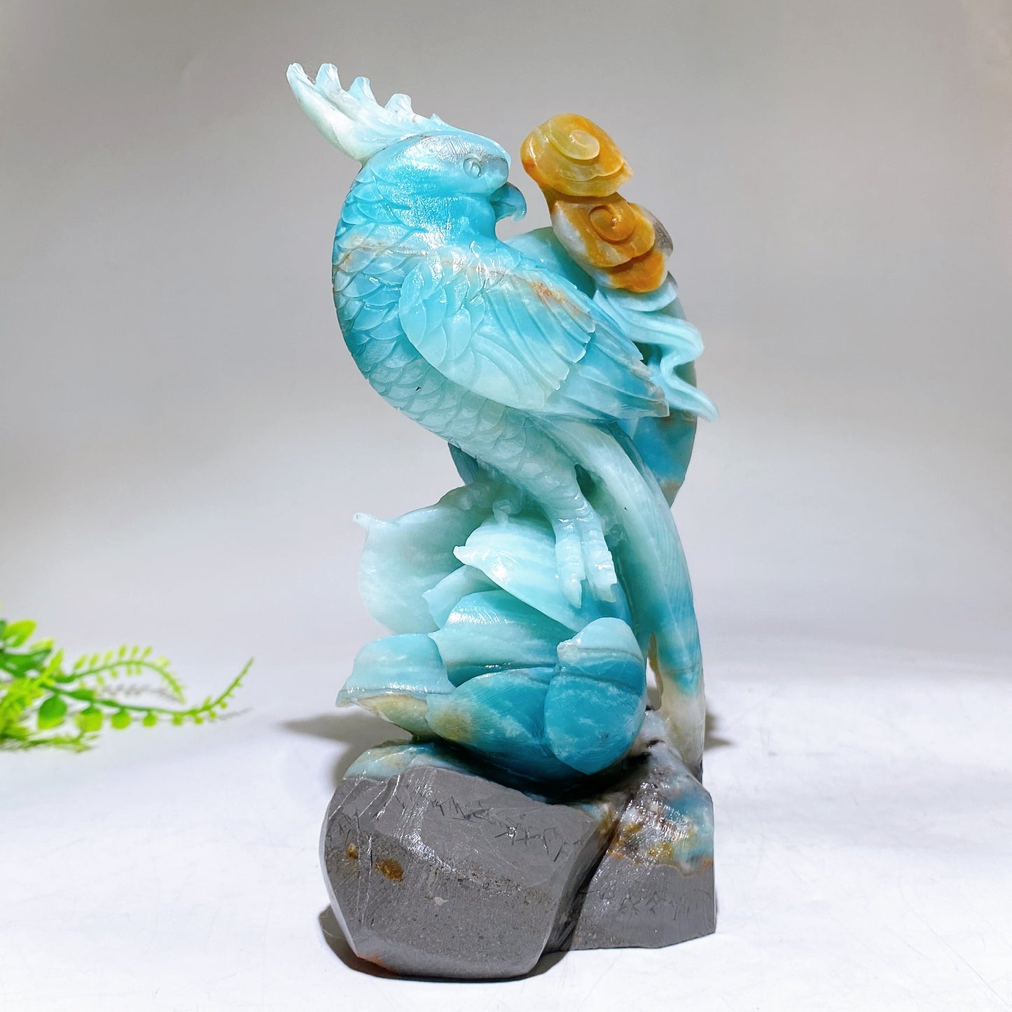 Hand Carved Unique Natural Caribbean Calcite Parrot Peony Cloud Free Form Crystal Healing Bulk Wholesale