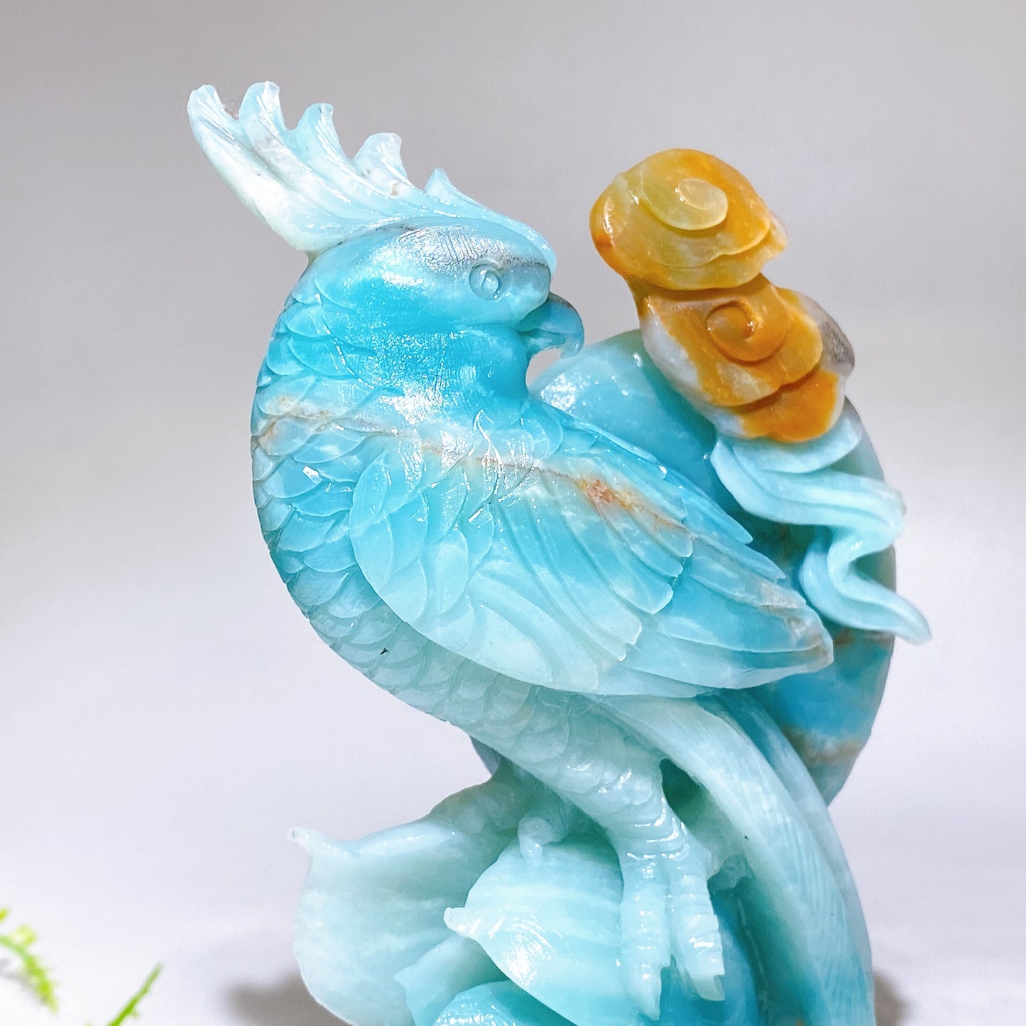 Hand Carved Unique Natural Caribbean Calcite Parrot Peony Cloud Free Form Crystal Healing Bulk Wholesale