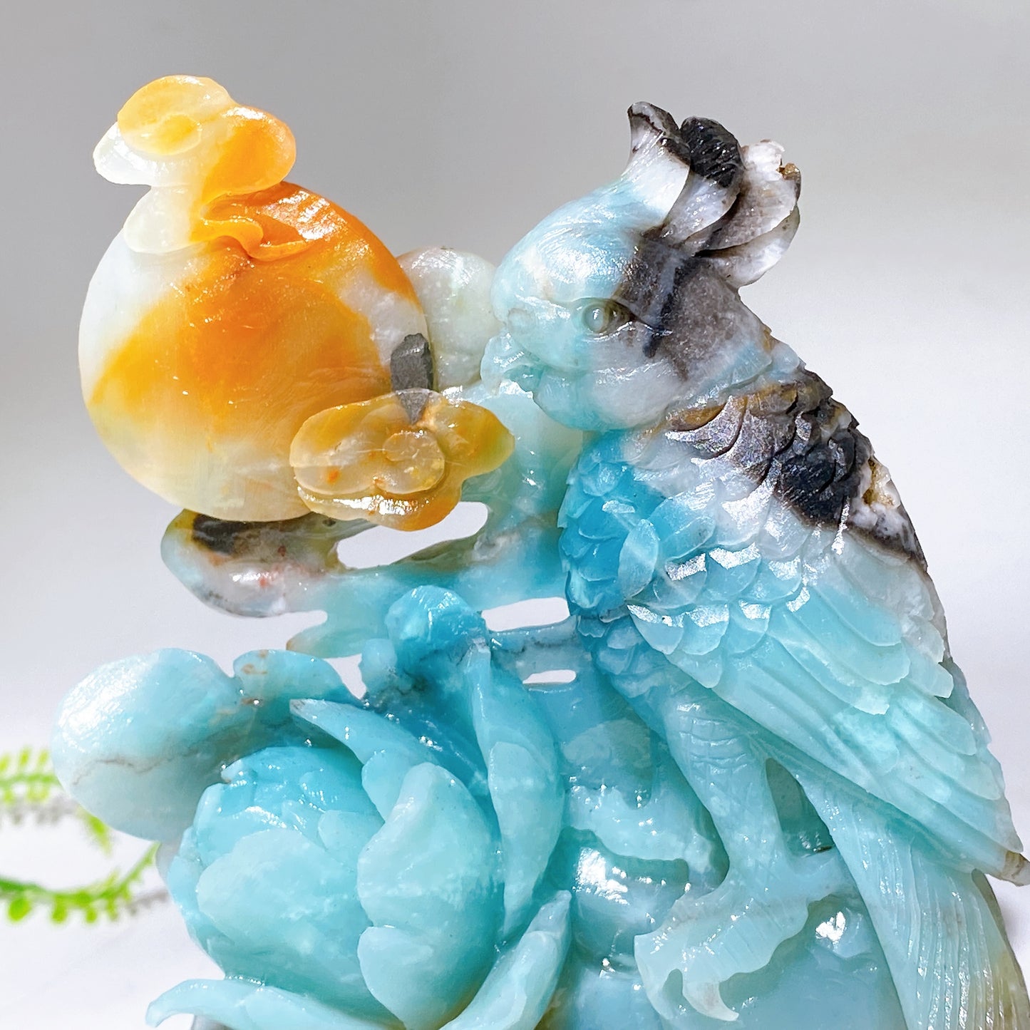 Hand Carved Unique Natural Caribbean Calcite Parrot Peony Cloud Free Form Crystal Healing Bulk Wholesale